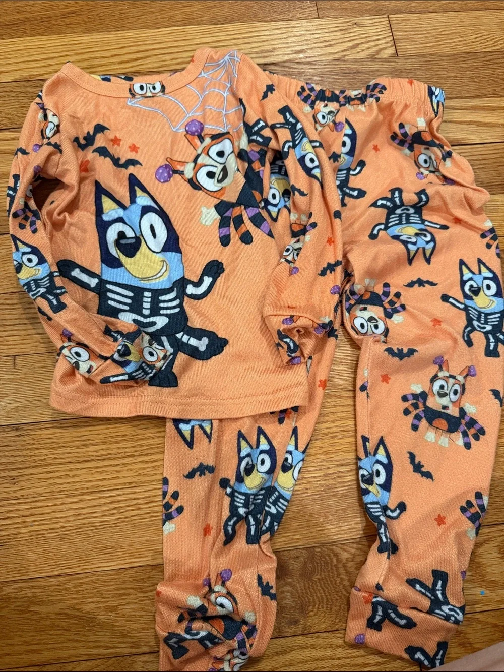 Toddler Bluey Halloween Orange Pajamas 5T